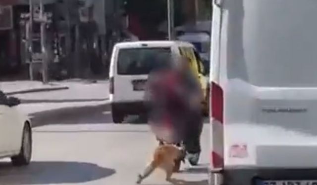Motosikletin arkasına bağladıkları köpeği sürükleyerek götürdüler