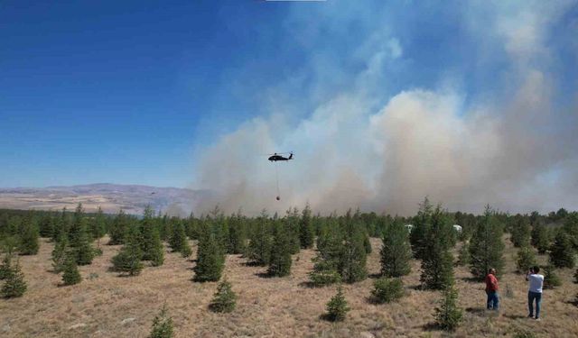 ODTÜ Ormanı’ndaki yangının tahribatı havadan görüntülendi
