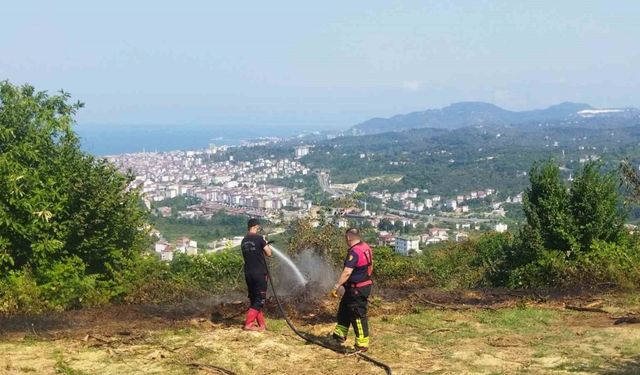 Ordu’da bahçe yangını hızlı müdahaleyle söndürüldü