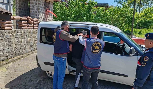 Ordu’da jandarma ekiplerinin bir haftalık faaliyetleri