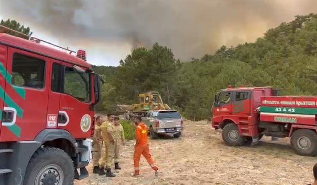 Orman Bölge Müdürü yangının ortasında kaldı