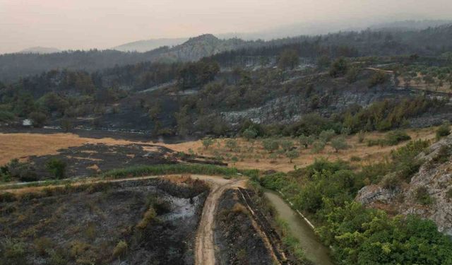 Orman yangını kabusunun ikinci günü: Ekipler çalışmalarına hız verdi