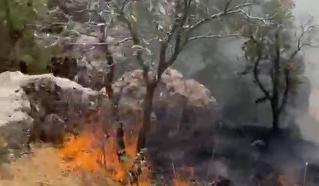 Ormanlık alanda çıkan yangın söndürüldü