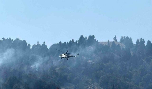 Osmaniye’nin çıkan orman yangını devam ediyor