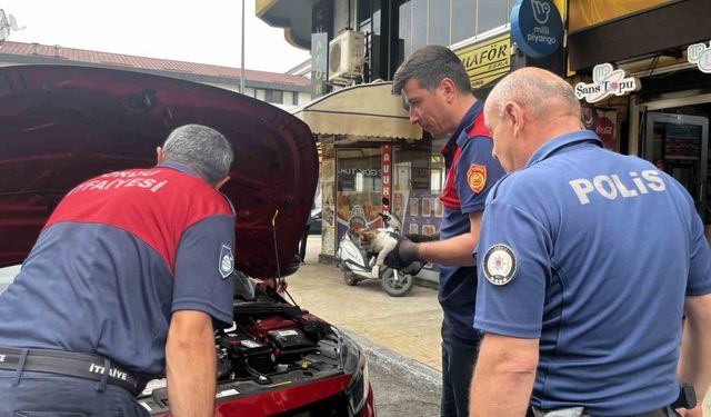 Otomobilin motor kısmında bulunan kedi çevredekilerin dikkati sayesinde kurtarıldı