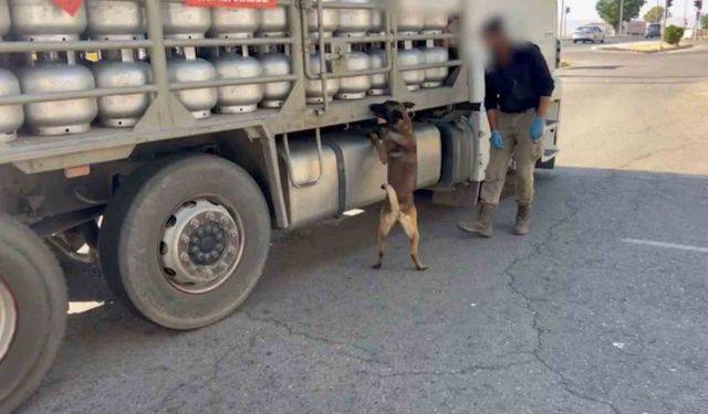 Piknik tüpü içinde eroin nakliyatı