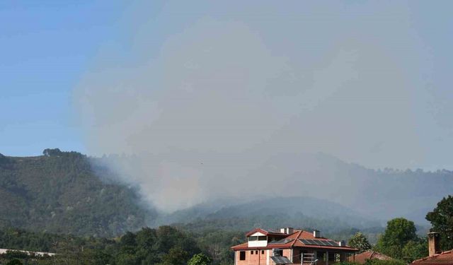Sakarya Hendek’teki orman yangını kontrol altına alındı