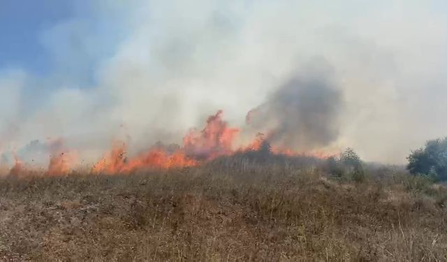 Sakarya Kaynarca’da makilik alanda yangın çıktı