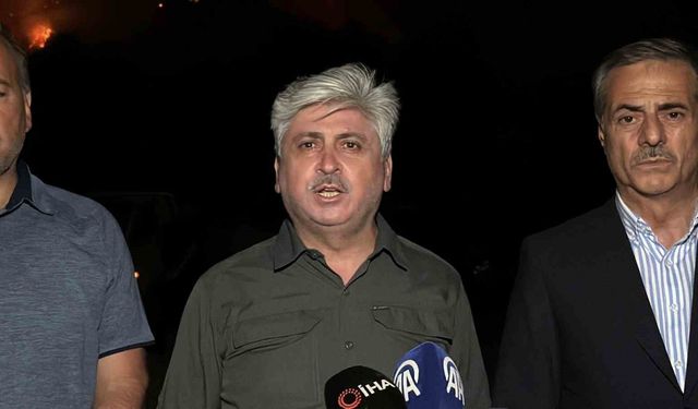 Sakarya Valisi Doğan: "İki mahalleyi boşalttık, yangının ilerlediği mahallede tedbirleri aldık"
