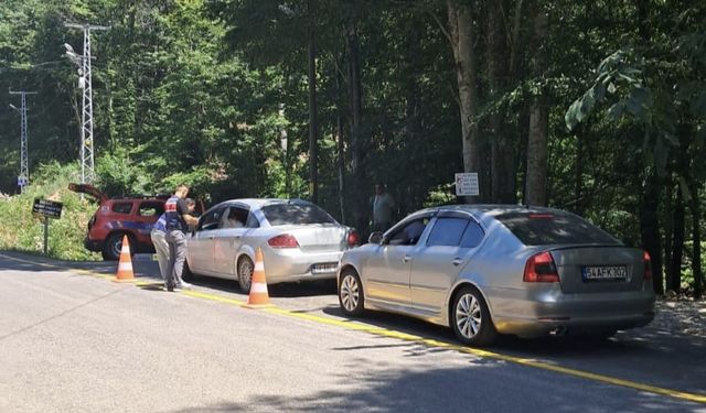 Sakarya’da mesire yerleri ve yayla yollarına sıkı denetim