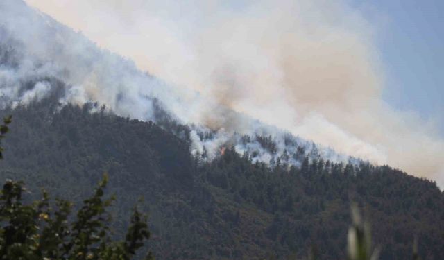 Sakarya’da yangın 24 saattir sürüyor, alevler zaman zaman yeniden yükseliyor