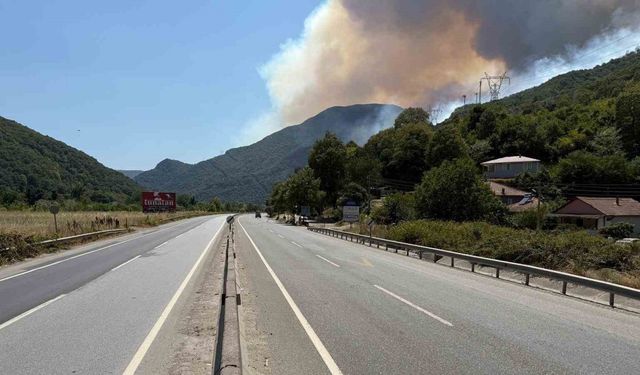 Sakarya’da yangın nedeniyle Bilecik istikametine yol kapatıldı, bazı evler tahliye edildi