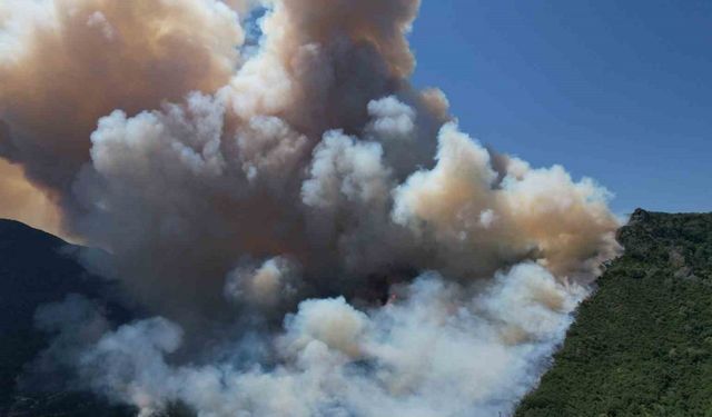 Sakarya’daki orman yangını havadan görüntülendi
