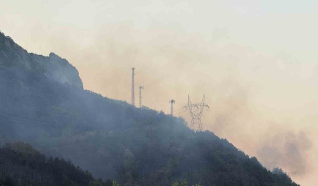 Sakarya’daki orman yangını kısmen kontrol altına alındı