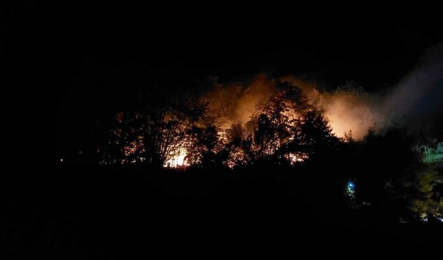 Sakarya’daki yangınla ilgili 1 kişi tutuklandı