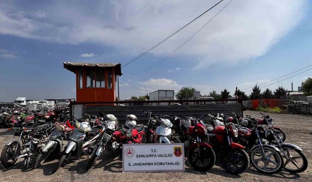 Şanlıurfa’da motosiklet hırsızlığı operasyonu: 7 gözaltı