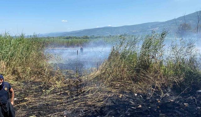 Sapanca Gölü’ndeki sazlık alanda yangın çıktı