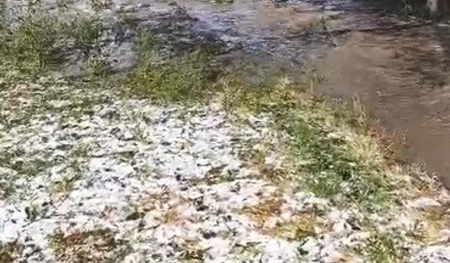 Sarıkamış’ta sağanak yağış sele neden oldu: Evler ve tarım arazileri sular altında kaldı