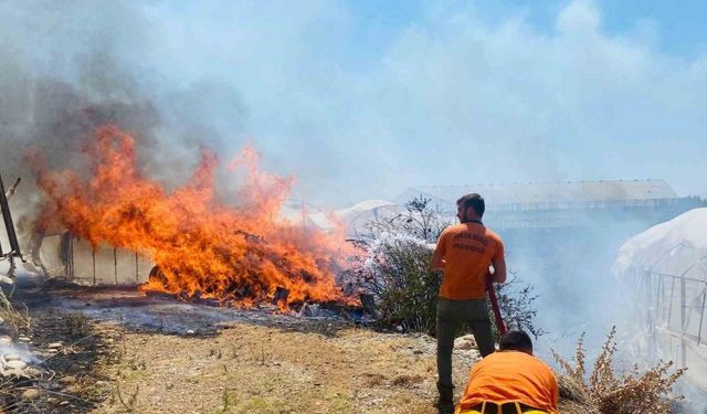 Serik’te çalılıklarda başlayan yangın 2 seraya zarar verdi