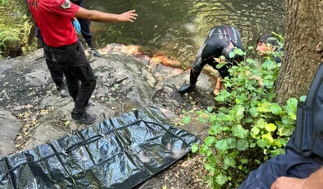 Serinlemek için girdiği şelalede boğuldu