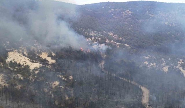 Seyitgazi’den Sarıcaova’ya sıçrayan yangın kısmen kontrol altında
