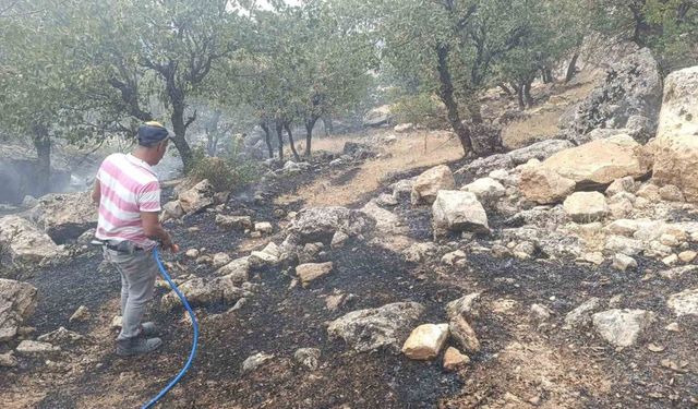Siirt’te orman yangını büyümeden söndürüldü