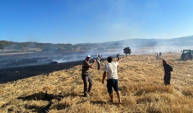 Sinop’ta anız yangını: 60 balya saman kül oldu