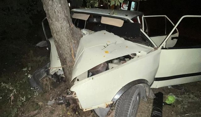 Sinop’ta virajı alamayan otomobil ağaca çarptı: 2 yaralı