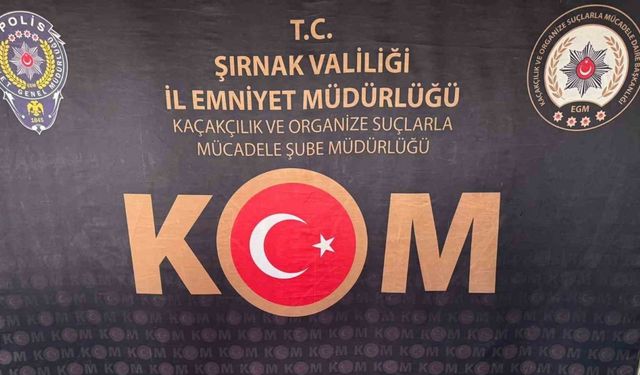 Şırnak’ta asayiş, kaçakçılık ve narkotik operasyonu: 1 tutuklama