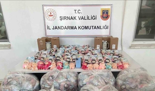 Şırnak’ta jandarmadan mali, narkotik ve kaçakçılık operasyonu