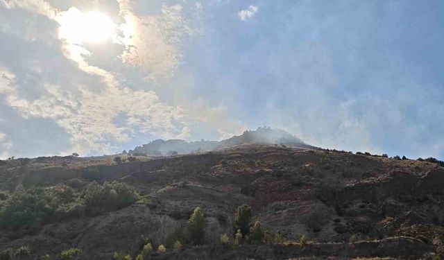 Sivas’ta çıkan orman yangını kısa sürede kontrol altına alındı