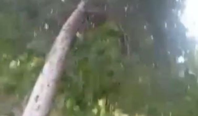 Siverek’te fırtına hayatı olumsuz etkiledi