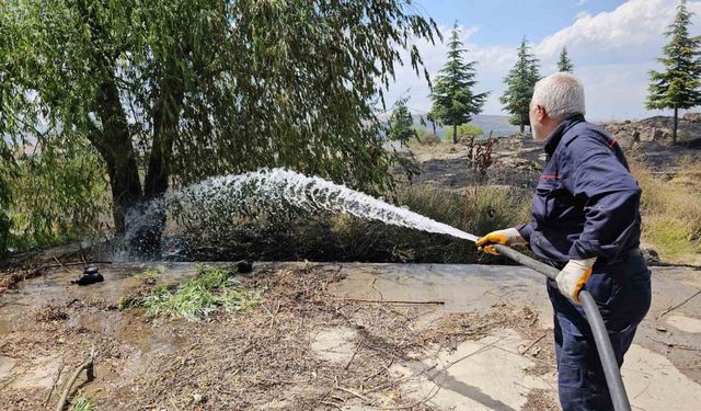 Tatvan’da çıkan yangında 50 dönümlük alan küle döndü