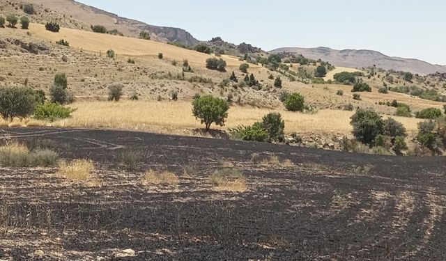 Tunceli’de 34 dönüm arpa yangında kül oldu