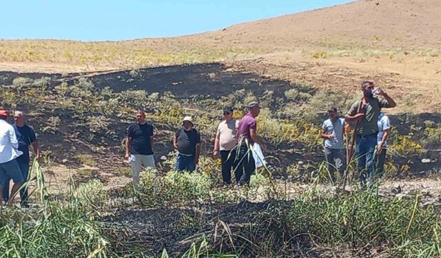 Tunceli’de ekili alanda çıkan yangın, zamanında müdahaleyle söndürüldü