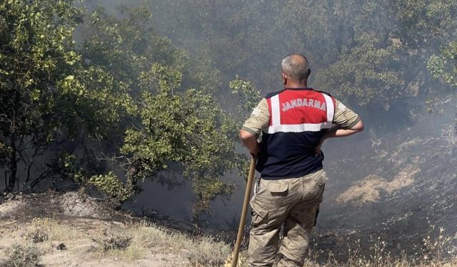 Tunceli’de otluk ve ormanlık alanda yangın