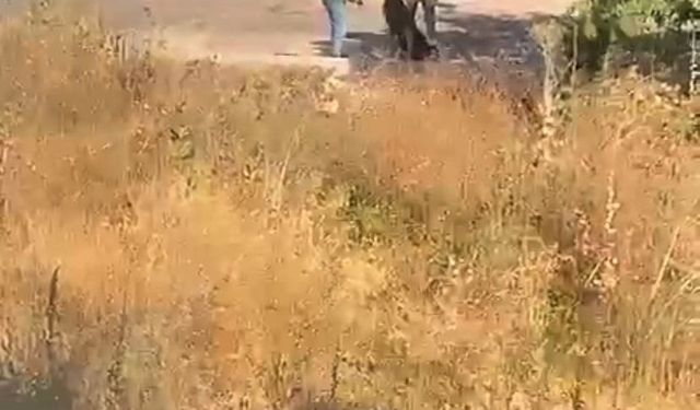 Ümraniye’de eski sevgilisinin başına silah dayayıp darp etti