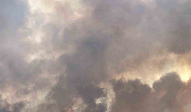 Uşak’ta devam eden orman yangınında hem tahliyeler hem de müdahale devam ediyor