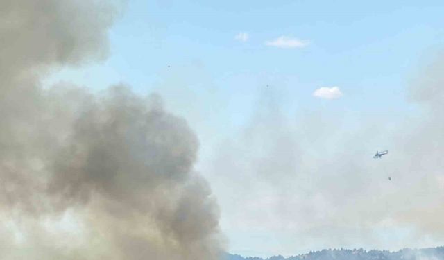 Uşak’ta ormanlık alanda çıkan yangına müdahale devam ediyor