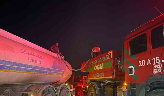 Uşak’ta ormanlık alandaki yangınlar kontrol altına alındı