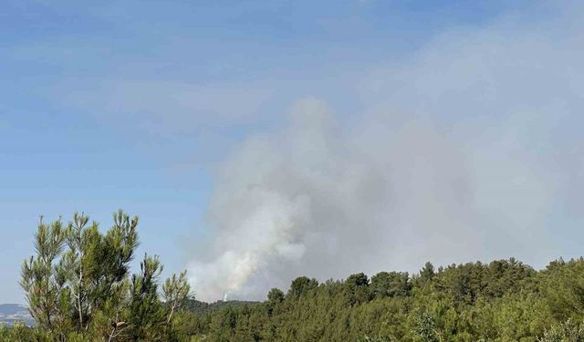 Uşak’ta tarım arazisinde çıkan yangın ormanlık alana sıçradı