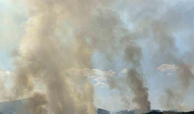 Uşak’taki orman yangınına havadan ve karadan müdahale devam ediyor
