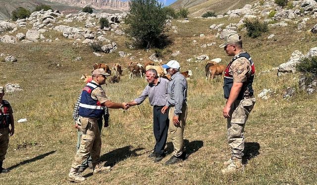 Üzümlü’de 4 gündür kayıp 17 büyükbaş hayvanı jandarma buldu