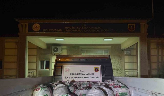 Van’da 3 aylık süreçte kaçak avlanan 78 ton inci kefaline el konuldu