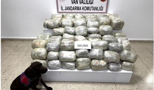 Van’da 70 kilo skunk madde ele geçirildi