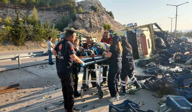 Virajı alamayan sebze yüklü kamyon refüje devrildi: 1 yaralı