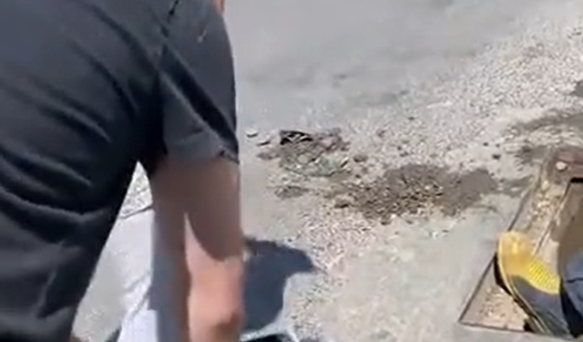 Yalova’da anne kedi ve dört yavrusu sıkıştıkları yağmur suyu kanalından kurtarıldı