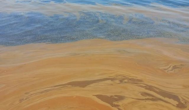 Yalova’da deniz kirliliğine sebep olan fabrikaya inceleme