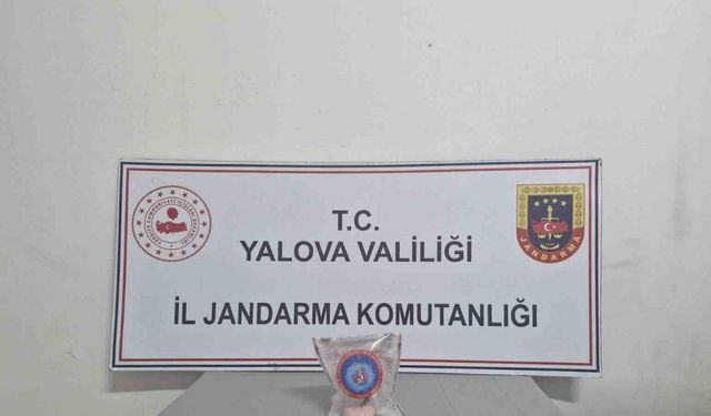 Yalova’da uyuşturucu operasyonunda 2 tutuklama
