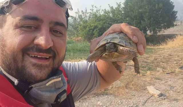 Yangından etkilenen hayvanlara elleriyle su verdiler